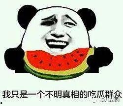 给猪吃的瓜是什么瓜,揭秘适合猪食用的瓜类食材