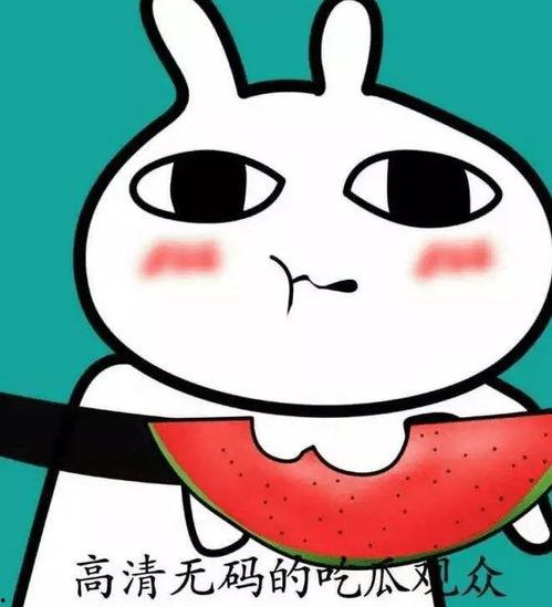 吃瓜的爱豆  第3张