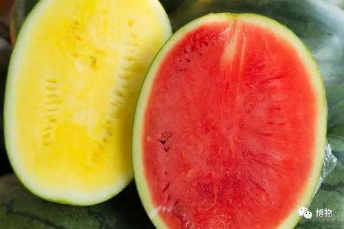 高级吃瓜,一场舌尖上的狂欢盛宴  第2张