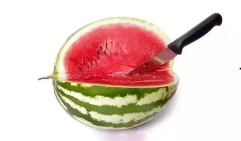 高级吃瓜,一场舌尖上的狂欢盛宴  第3张