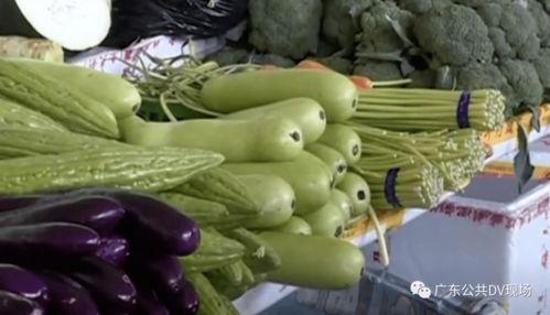 河南吃瓜中毒,揭秘夏日消暑美食背后的风险与教训  第1张