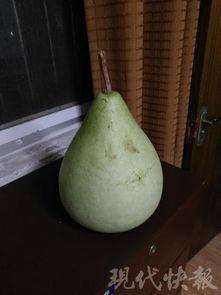 河南吃瓜中毒,揭秘夏日消暑美食背后的风险与教训  第2张