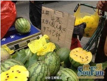 黄浦崩瓜怎么吃,解锁夏日清新美味  第1张