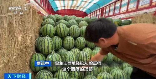 瓜老师最新吃瓜,揭秘娱乐圈幕后风云  第1张