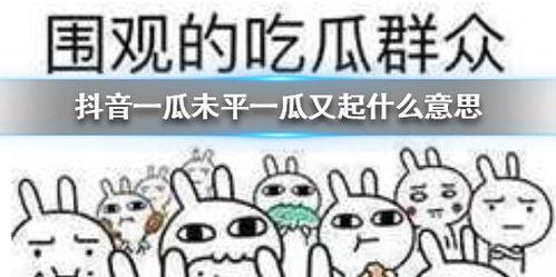 抖音吃瓜基地,热门话题背后的真相与趣味  第1张