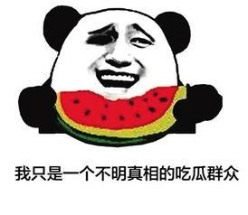 网络用语吃瓜笑话  第3张