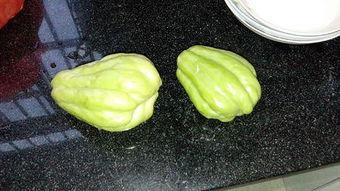 兔丸儿 吃瓜,揭秘娱乐圈那些不为人知的幕后故事  第1张