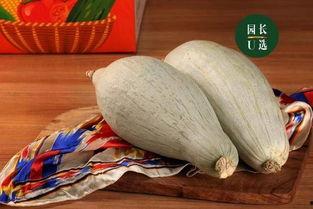 贵族贡瓜怎么吃,品味皇室级瓜果的奢华享受