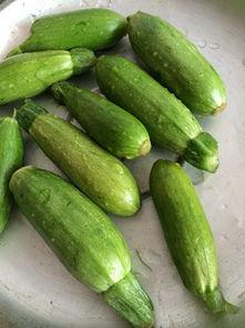 vlog角瓜怎么吃,Vlog教你轻松解锁美味新境界