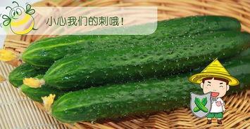 吃瓜配视频,轻松娱乐新潮流