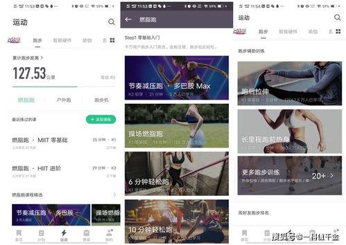 王多鱼吃瓜软件,揭秘娱乐圈幕后故事，带你领略明星生活