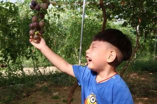 吃瓜的芸芸,吃瓜群众视角下的社会百态  第3张