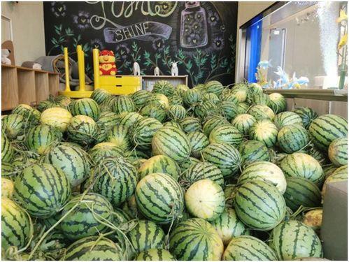 吃瓜快乐网,吃瓜快乐网带你畅游八卦盛宴  第3张