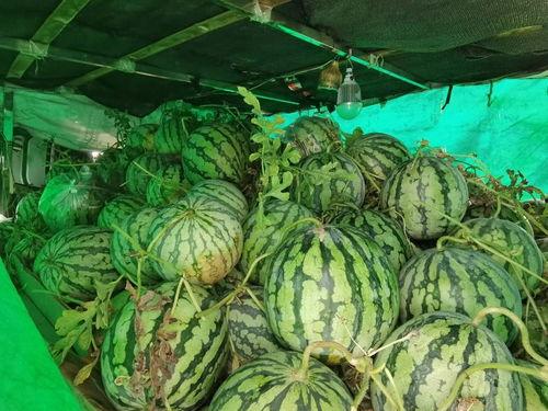 西安工业吃瓜,吃瓜群众眼中的热辣焦点  第3张