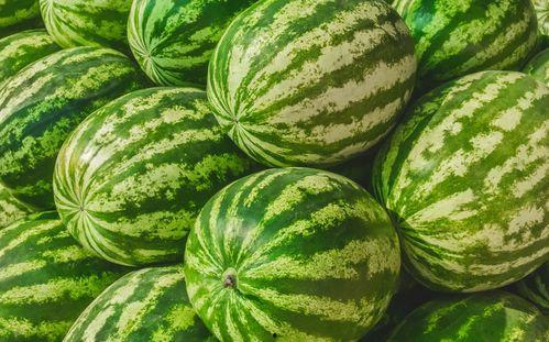 吃瓜哪里最快,吃瓜群众最快获取资讯的神奇途径