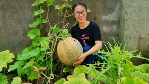 农村版儿童吃瓜,农村版儿童快乐吃瓜时光  第1张