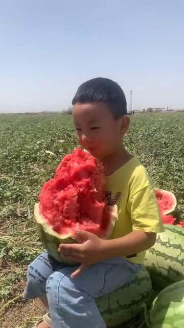 农村版儿童吃瓜,农村版儿童快乐吃瓜时光  第3张