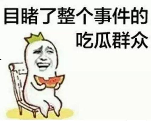 辛九儿吃瓜,揭秘娱乐圈背后的那些事儿