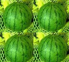 吃凤瓜,探寻夏日清新口感