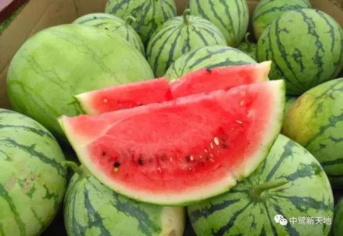 瓜哥吃瓜时间,揭秘娱乐圈那些不为人知的幕后故事