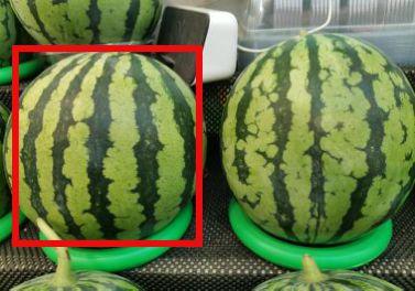 热闻吃瓜,揭秘娱乐圈最新热点事件