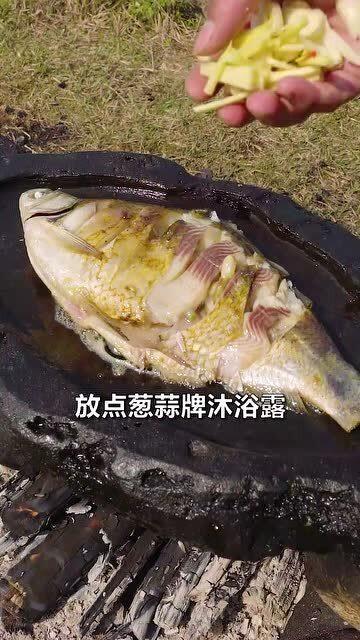 吃瓜之鱼,揭秘网络热议背后的真相与趣味