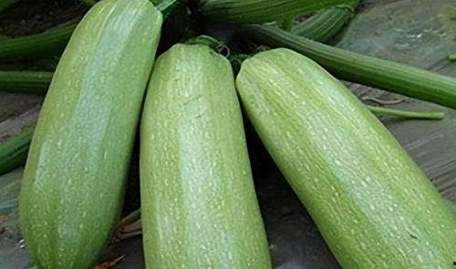 天润吃瓜,揭秘娱乐圈背后的那些事儿