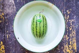 洗脸盆吃瓜,揭秘日常生活中的小确幸