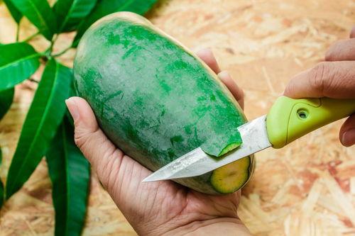 湖南美术专升本吃瓜,吃瓜群众揭秘艺术类专升本那些事儿