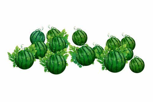 阿靖吃瓜,揭秘娱乐圈那些不为人知的幕后故事