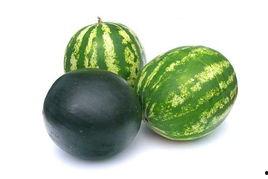 保定吃瓜事件进展,真相追踪与舆论演变全记录