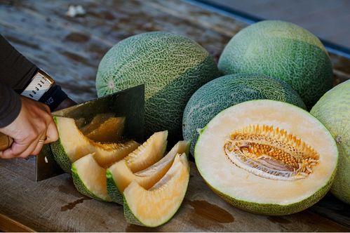 吃洋葱后可否吃仙草蜜瓜