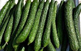 吃苏瓜可以减肥吗,天然美食助你轻松瘦身！”  第3张