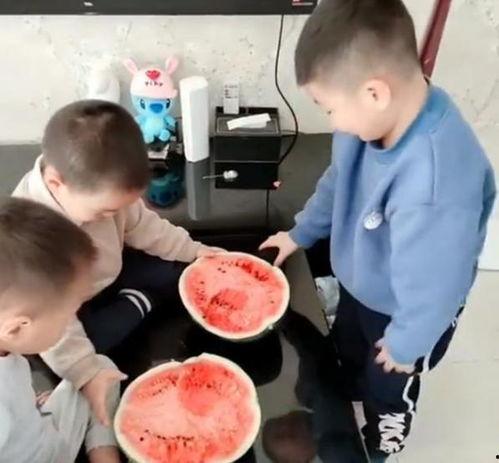 兄弟吃瓜趣事,一场欢乐的“瓜田”盛宴  第3张