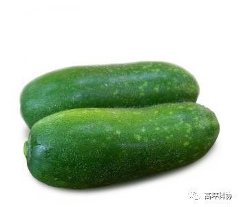 孕妇梦见摘嫩瓜尖吃瓜