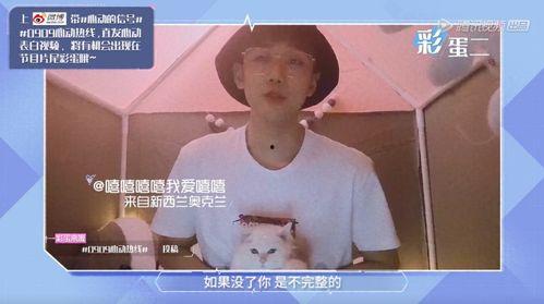 心动信号6吃瓜,揭秘明星们的甜蜜瓜田