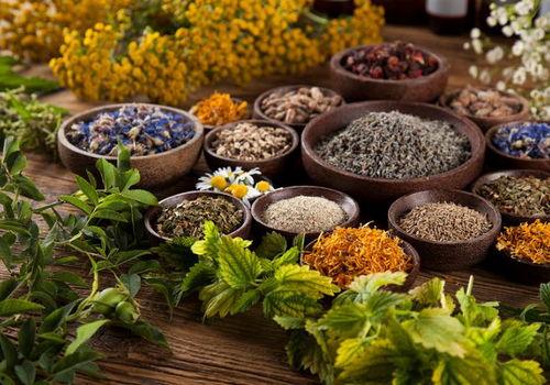 胃酸反流可以吃哈密瓜,哈密瓜助力缓解胃酸反流困扰  第1张