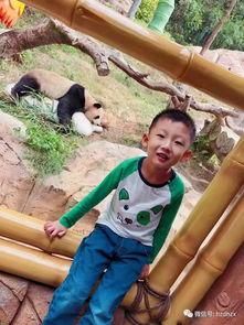 猴王吃瓜视频  第1张