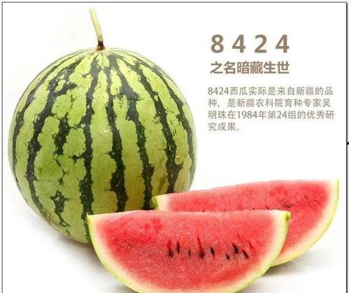 安徽琴儿吃瓜,揭秘网络红人的日常生活  第2张