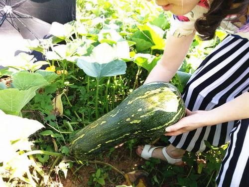 吃囊瓜有什么好处  第2张