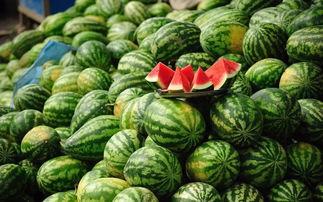 吃瓜篓子胖吗,揭秘瓜果零食与体重管理的微妙关系  第1张