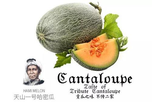 吃瓜群众群聊号码