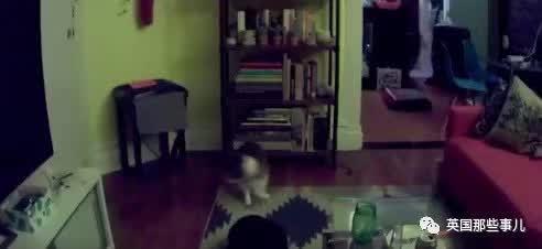 各大学校吃瓜事件闹鬼