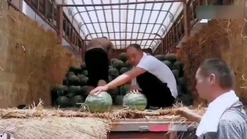 各大学校吃瓜事件闹鬼