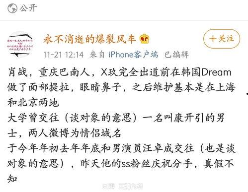 xz吃瓜合集,揭秘娱乐圈那些不为人知的幕后故事  第2张