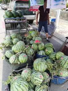 合肥滨湖吃瓜事件,一场引发热议的街头冲突  第1张