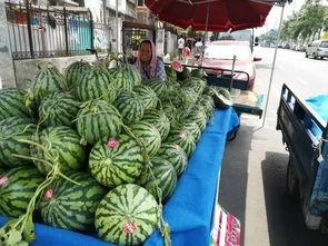 合肥滨湖吃瓜事件,一场引发热议的街头冲突  第2张