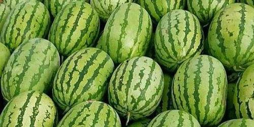 合肥滨湖吃瓜事件,一场引发热议的街头冲突  第3张