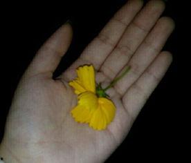 吃瓜群众吸瓜视频,一场视觉盛宴的狂欢  第1张