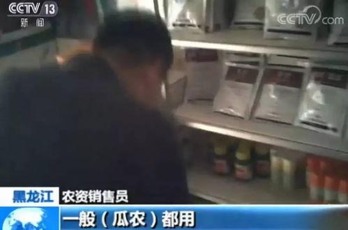 奇葩汇总吃瓜曝光视频,揭秘网络热传吃瓜曝光视频背后的真相  第1张